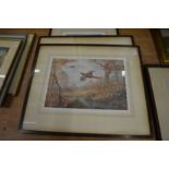 A group of three bird related prints by J C Harrison.