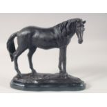 A BRONZE MODEL OF A STANDING HORSE on a marble base. 10ins long