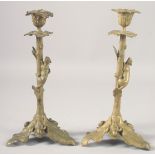 A PAIR OF 19TH CENTURY FRENCH BRONZE SQUIRREL CANDLESTICKS. 11ins high.