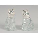 A PAIR OF NOVELTY GLASS AND SILVER-PLATED SALT AND PEPPERS, modelled as seated cats.