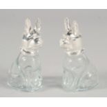 A PAIR OF NOVELTY GLASS AND SILVER-PLATED SALT AND PEPPERS, modelled as seated dogs.