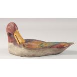 A PAINTED DECOY DUCK. 12ins long.