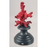 A RED CORAL SPECIMEN on a stand 5ins high.