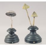TWO MUSHROOM SPECIMENS on stands. 4.5ins & 3ins high.