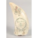 A SCRIMSHAW WHALES TOOTH "A Friend". 5.5ins long.