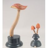 TWO MUSHROOM SPECIMENS on stands. 6ins &2.5ins high.