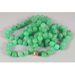 A LONG JADE BEAD NECKLACE WITH GOLD CLASP. 135cm long