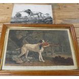 [DOGS] MARSHALL (B.) & TURNER (C.) "...Celebrated Pointer (Sancho)," hand-col'd stipple engraving,