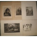 [PRINTS] COOK's VOYAGES, 9 plates after Webber, from a folio edition, 40 x 54 cms, loose (9).