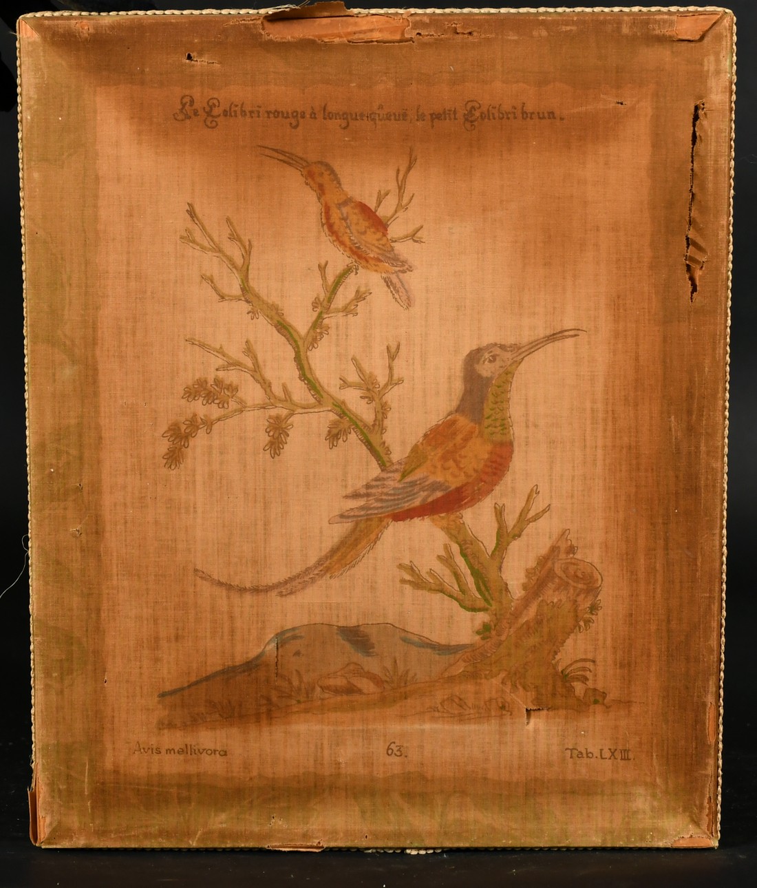 After Johan Michael Seligmann, Three 19th Century watercolours on silk of exotic birds after the - Image 7 of 9