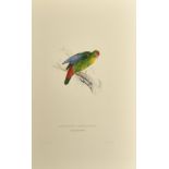 After Lear, a set of twelve 20th Century colour lithographs of parrots, each 18.75" x 12.5", (47.