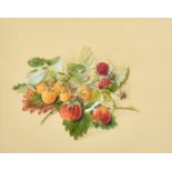 19th Century School, a watercolour study of strawberries and raspberries, 7" x 9.5" (18 x 24cm),