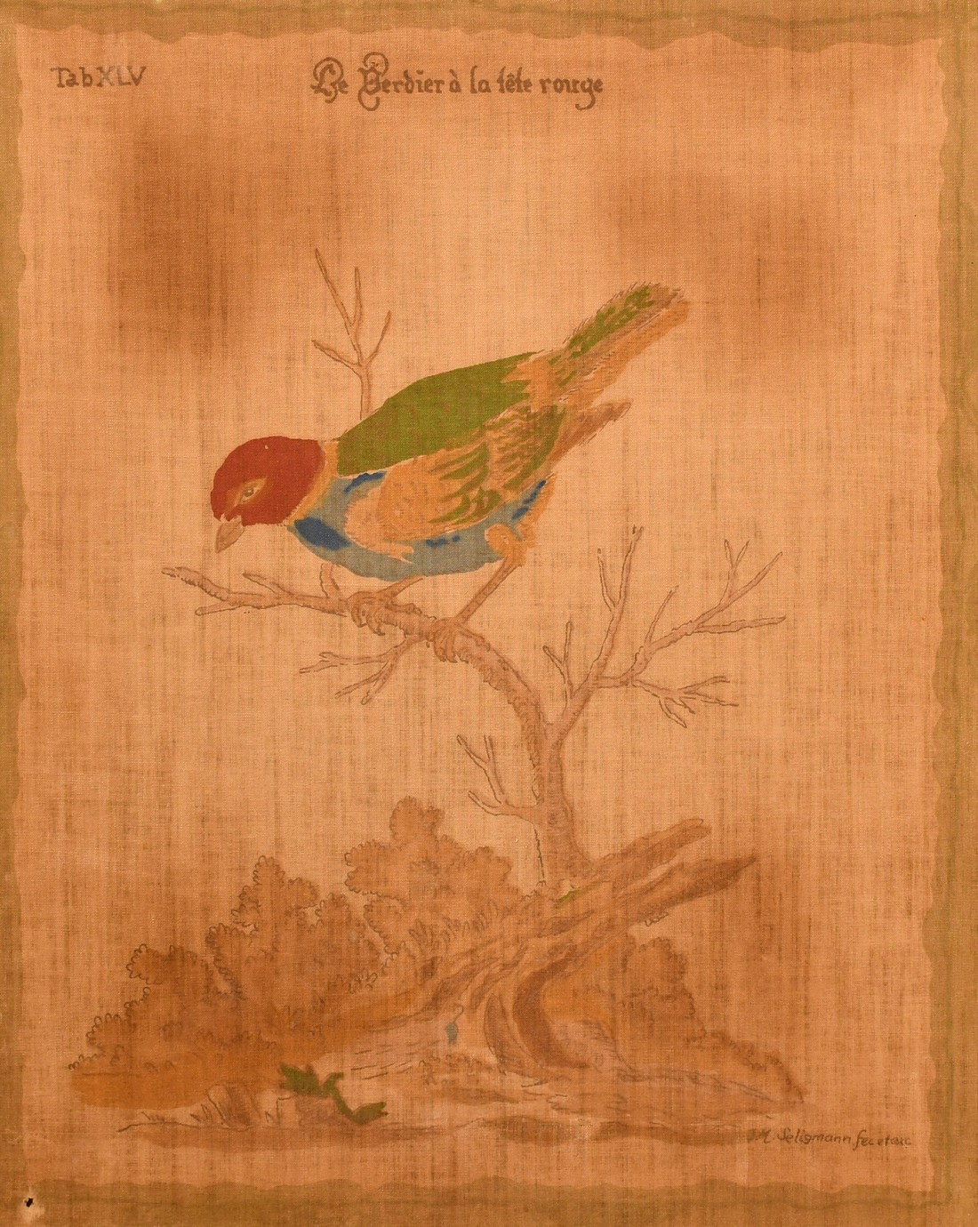 After Johan Michael Seligmann, Three 19th Century watercolours on silk of exotic birds after the