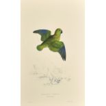 After Lear, a set of twelve 20th Century colour lithographs of parrots, each 18.75" x 12.5", (47.