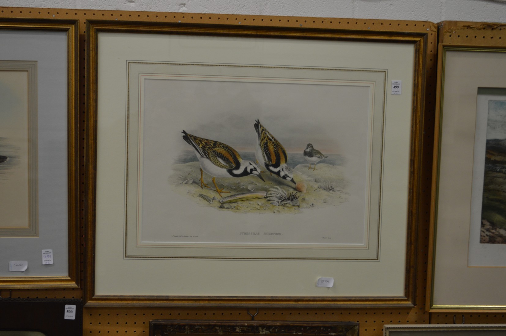 Two large colour prints depicting birds.