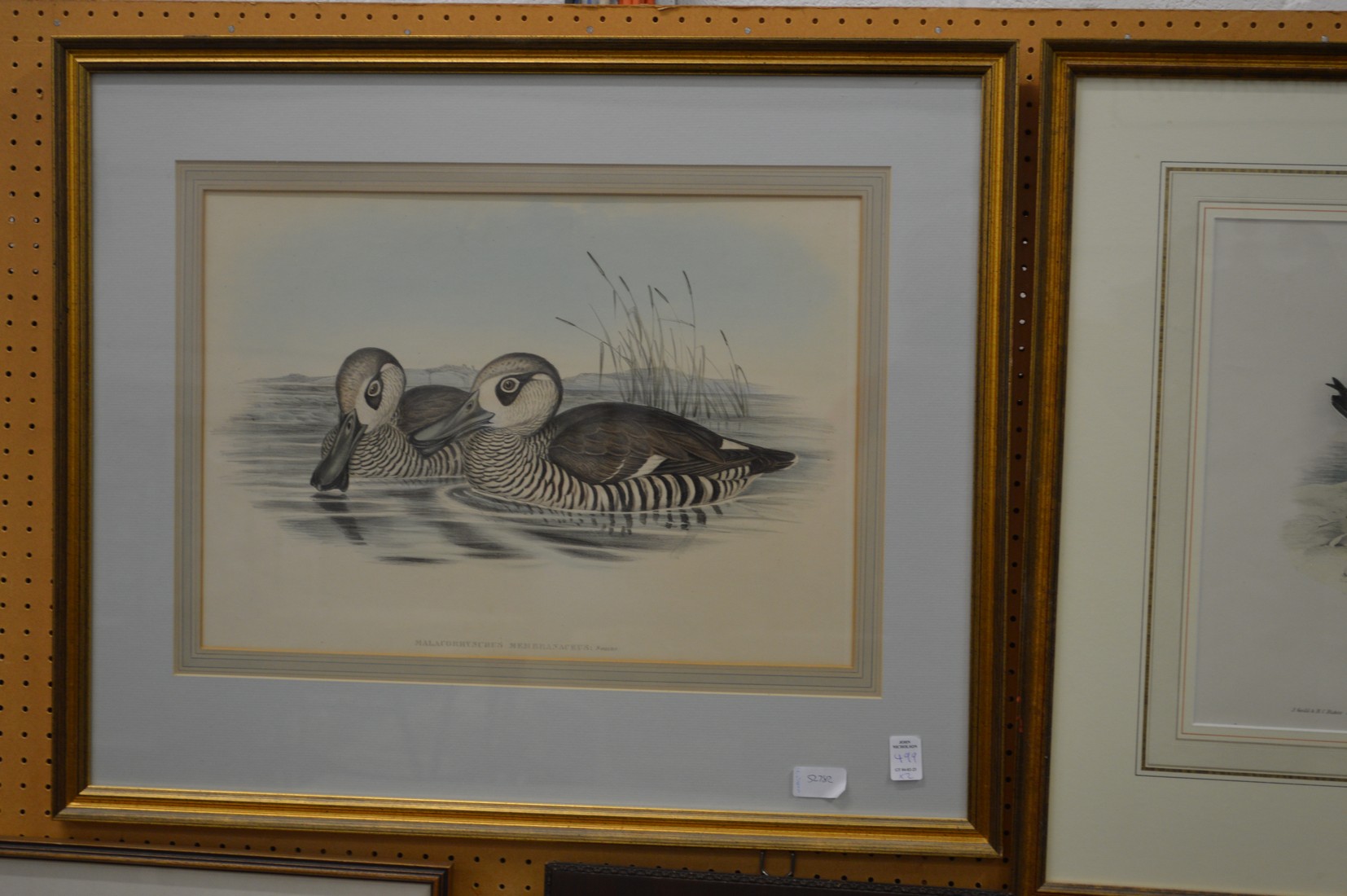 Two large colour prints depicting birds. - Image 2 of 2