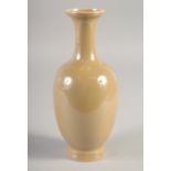 A CHINESE YELLOW GROUND PORCELAIN VASE, 22cm high.