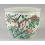 A LATE 19TH CENTURY CHINESE FAMILLE VERTE PORCELAIN JARDINIERE, painted with a bird and flora,