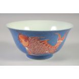 A CHINESE POWDER BLUE AND CORAL RED PORCELAIN BOWL, the exterior painted with fish, 20.5cm