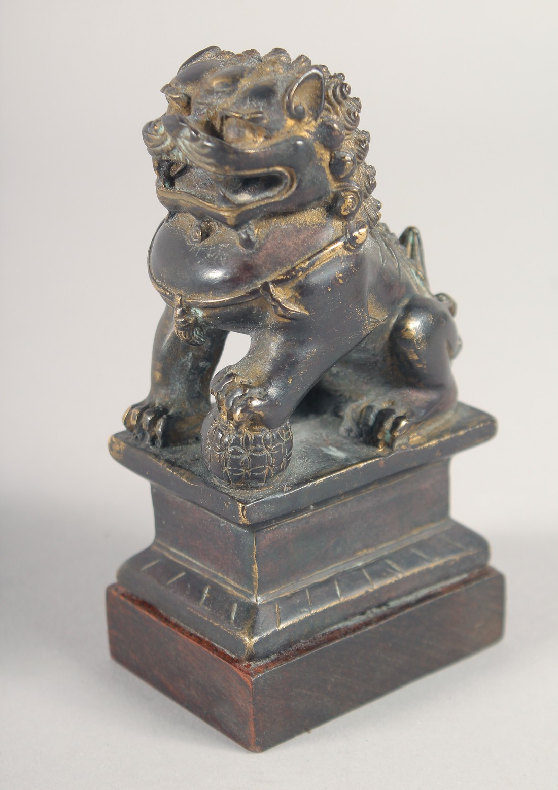 A FINE CHINESE BRONZE LION - possibly Ming, mounted to a wooden base, the figure with traces of