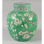 A 19TH CENTURY CHINESE GREEN GROUND PRUNUS GINGER JAR, (af), 15cm high.