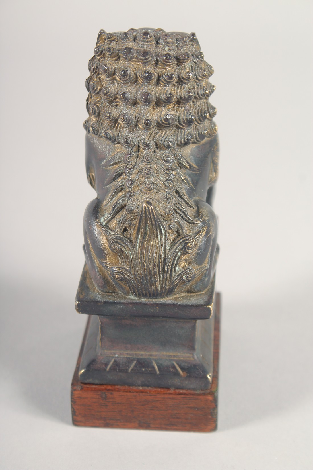 A FINE CHINESE BRONZE LION - possibly Ming, mounted to a wooden base, the figure with traces of - Image 3 of 4