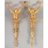 A GOOD PAIR OF GILT BRONZE CHERUB WALL LIGHTS 26ins long.