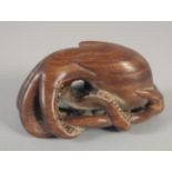 A JAPANESE CARVED WOOD OCTOPUS NETSUKE. Signed, 1.75ins.