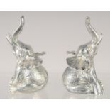 A PAIR OF 800 ELEPHANT SALT AND PEPPERS. 1.5ins high.