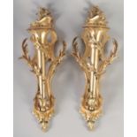 A VERY GOOD PAIR OF GILT BRONZE WALL CORNETS with acanthus scrolls and torch. 24ins long.