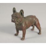 A SMALL AUSTRIAN BRONZE PUG DOG. 2.5ins long.