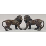 A GOOD PAIR OF BRONZE LIONS. 12ins long.