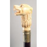 A WALKING STICK with carved bone handle "DOG OF FO".