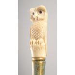 A WALKING STICK with carved bone handle "OWL"
