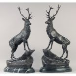 AFTER J. MOIGNIEZ. A SUPERB LARGE PAIR OF BRONZE STAGS" MONARCH OF THE GLEN". 30ins high.