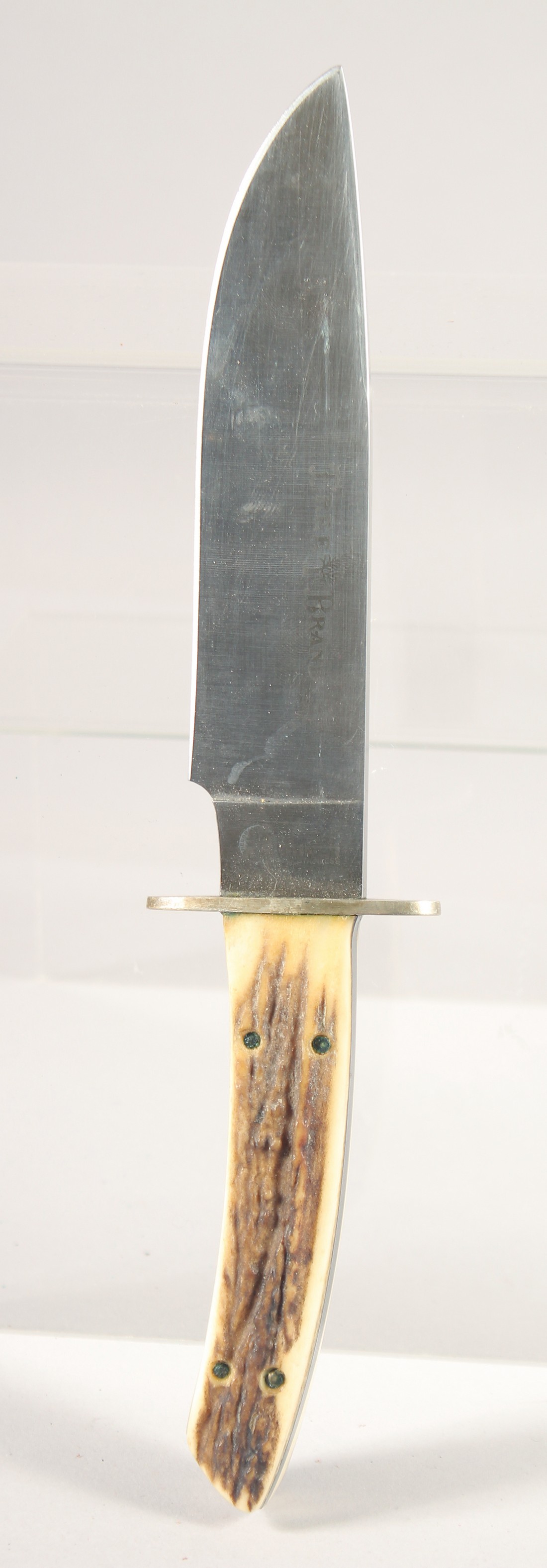 A TREE BRAND BOXER 440 STAINLESS STEEL KNIFE, with antler handle, 10" long.