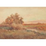 Probably late 19th Century, A summers evening landscape by the river with a flock of sheep wandering