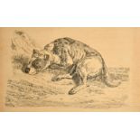 Continental School 19th /20th School, A Mastiff dog resting on a hillside, ink on paper, signed