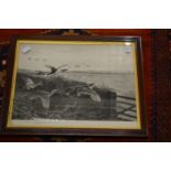 Archibald Thorburn, partridge in flight, pencil signed print together with five other paintings