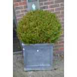 A pair of large faux lead square shaped planters complete with box shrugs.