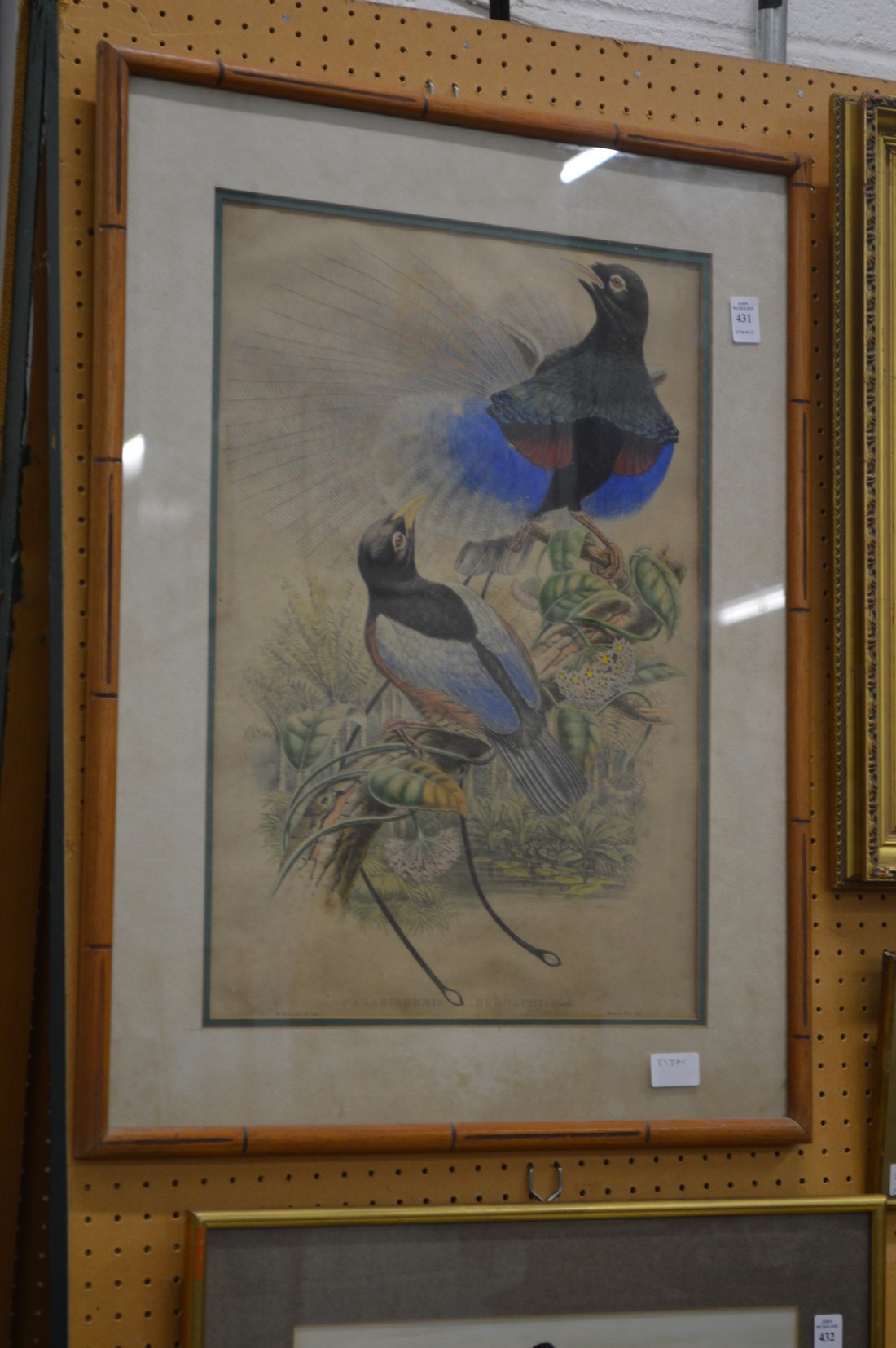 A colourful print of exotic birds.