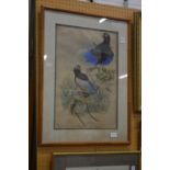 A colourful print of exotic birds.