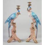 A GOOD LARGE PAIR OF BLUE PORCELAIN PARROT CANDLE STICKS on rustic bases. 21ins high.