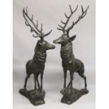 AN IMPRESSIVE PAIR OF NEAR LIFE SIZE BRONZE FIGURES OF STAGS standing on a rock. 6ft 8ins high.