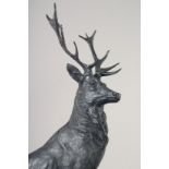 AFTER J. MOIGNIEZ. A SUPERB LARGE PAIR OF BRONZE STAGS" MONARCH OF THE GLEN". 30ins high.
