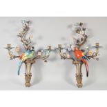 A VERY GOOD PAIR OF PORCELAIN AND GILT METAL BIRD WALL SCONCES with two branches and flower heads.