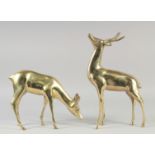 A PAIR OF MODERN ART BRASS DEER. 14ins x 8ins