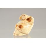 A CARVED BONE SKULL NETSUKE.