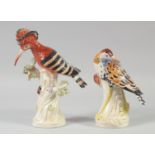 A PAIR OF CONTINENTAL PORCELAIN BIRDS. 9.5ins x 7.5ins high.