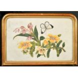 A PAIR OF CHINESE PITH PAINTING OF FLORA AND BUTTERFLIES, framed and glazed, image 18cm x 28cm.